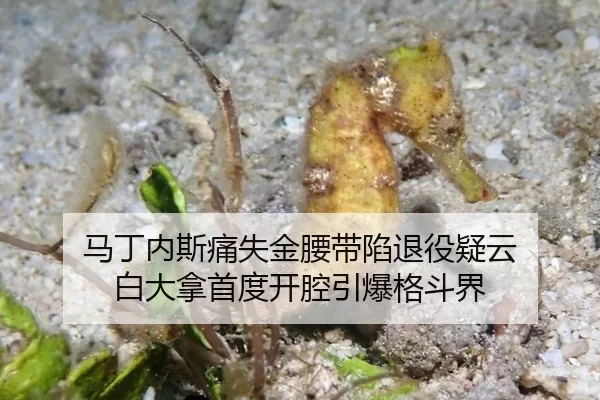 马丁内斯痛失金腰带陷退役疑云 白大拿首度开腔引爆格斗界
